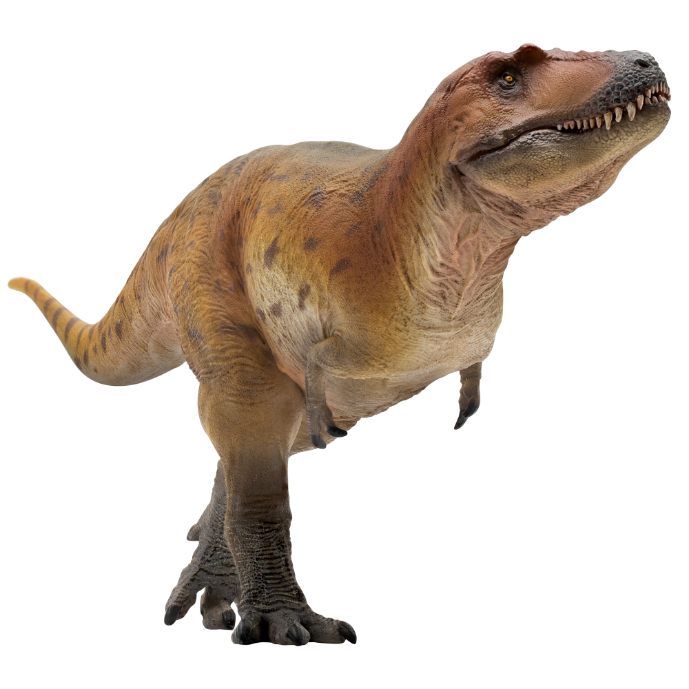 PNSO-Modelo Dinossauro Pré-His - Model Kit Tristan avaliação e preço