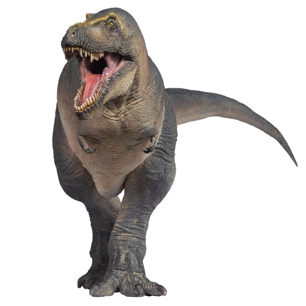 Modelos dinossauro pré-históri - Model Kit Tristan avaliação e preço